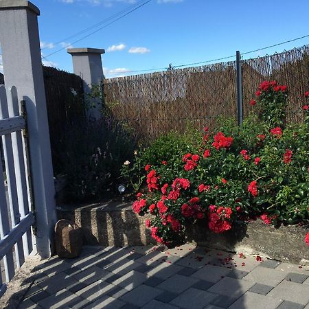 Les Magnolias En Alsace - Meuble De Tourisme 3 Etoiles Appartement Barembach Buitenkant foto