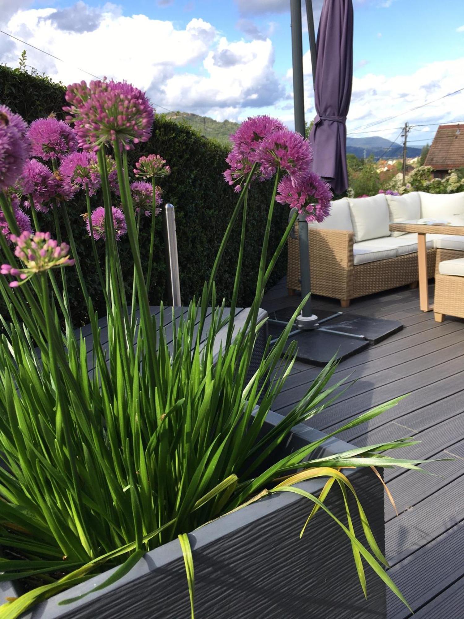 Les Magnolias En Alsace - Meuble De Tourisme 3 Etoiles Appartement Barembach Buitenkant foto