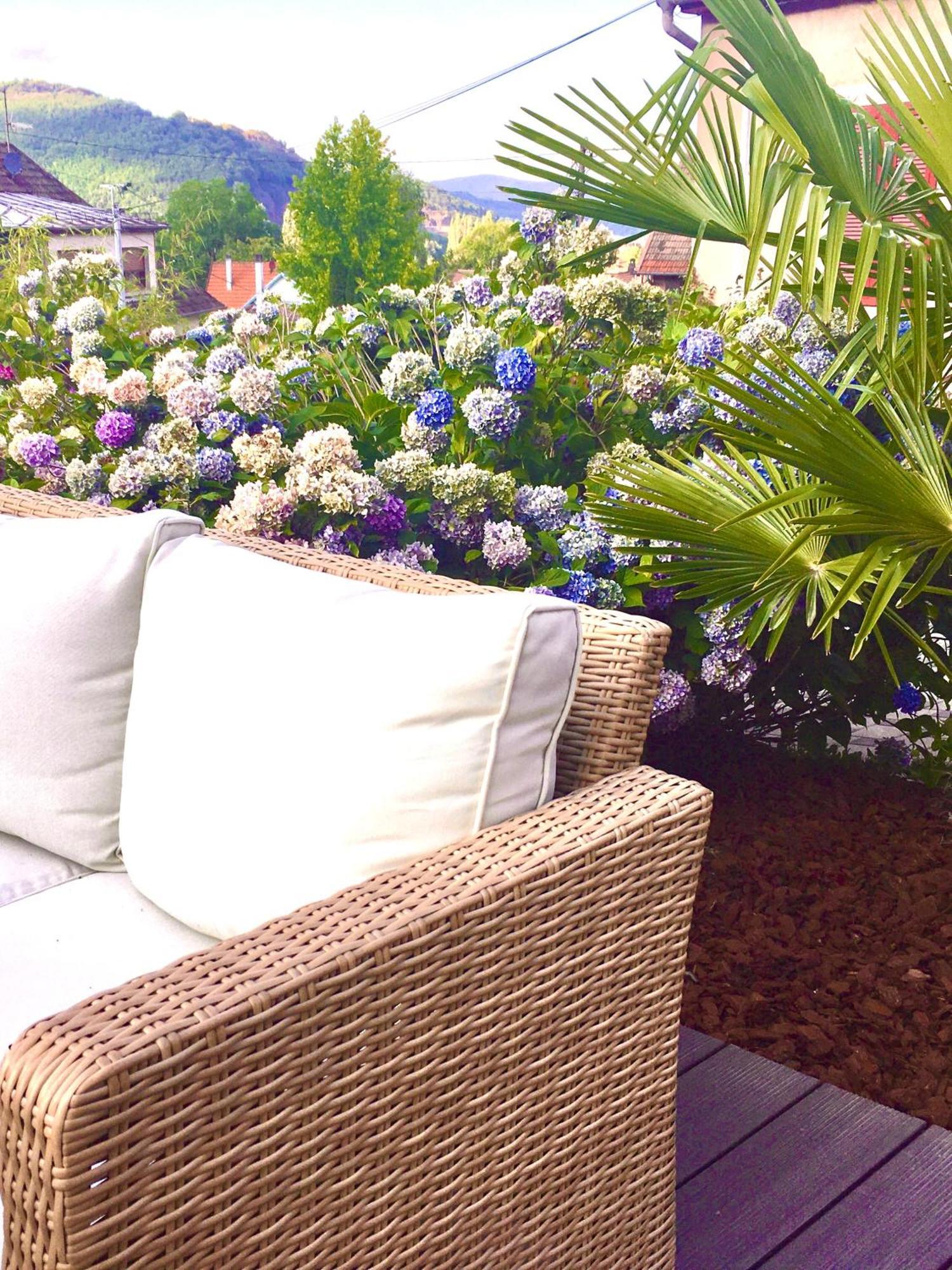 Les Magnolias En Alsace - Meuble De Tourisme 3 Etoiles Appartement Barembach Buitenkant foto