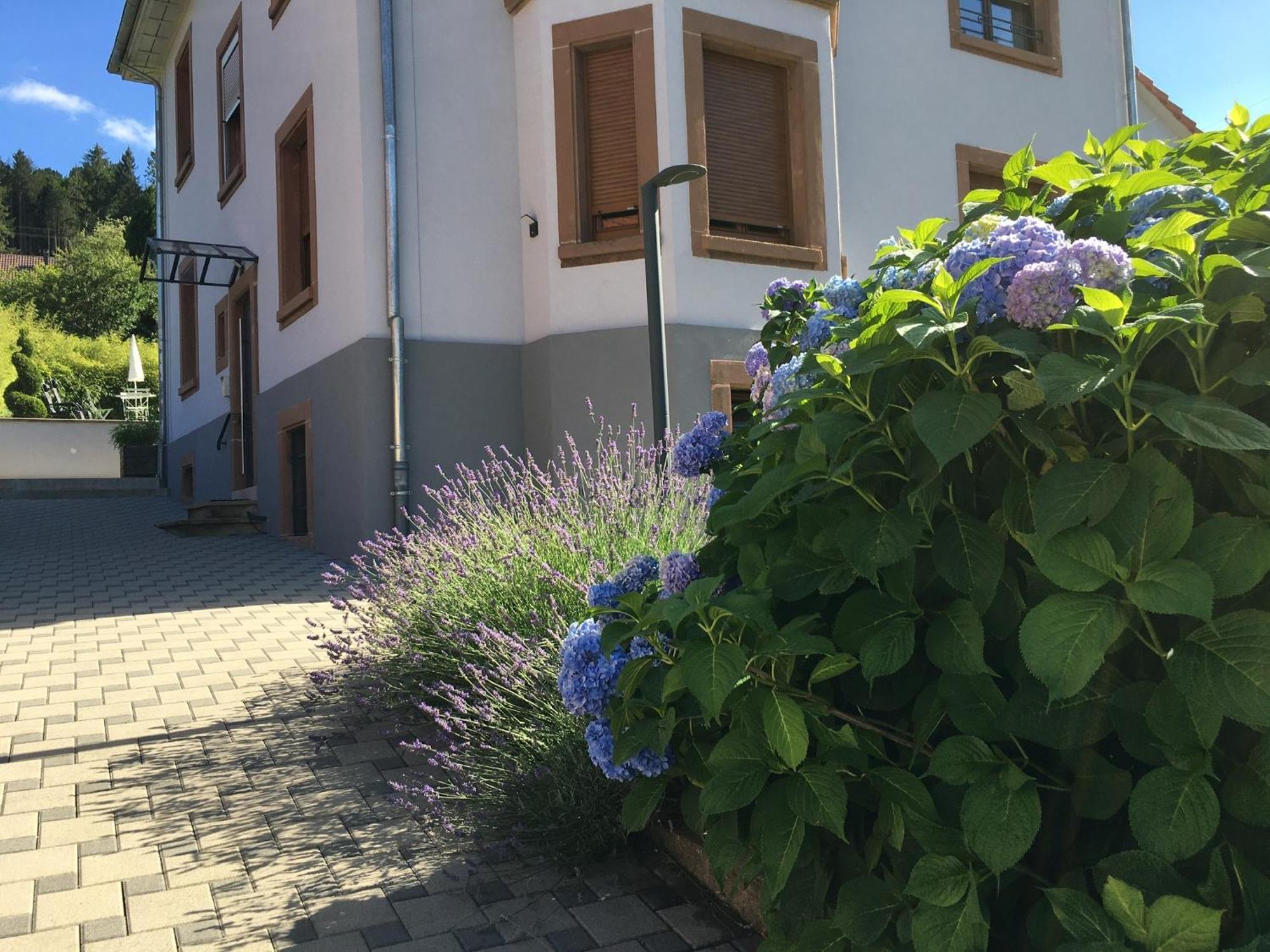 Les Magnolias En Alsace - Meuble De Tourisme 3 Etoiles Appartement Barembach Buitenkant foto