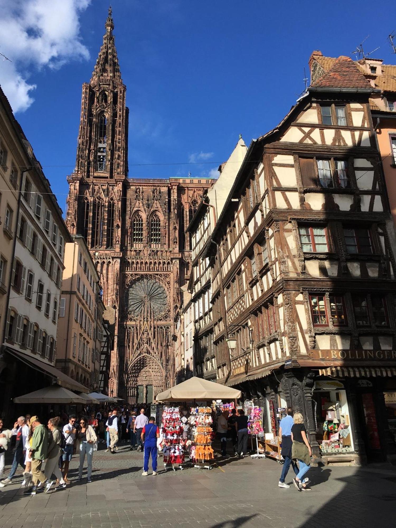 Les Magnolias En Alsace - Meuble De Tourisme 3 Etoiles Appartement Barembach Buitenkant foto