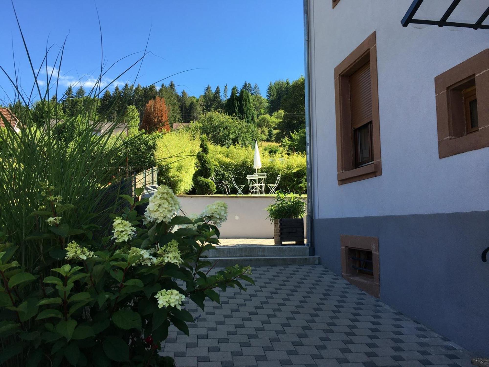 Les Magnolias En Alsace - Meuble De Tourisme 3 Etoiles Appartement Barembach Buitenkant foto