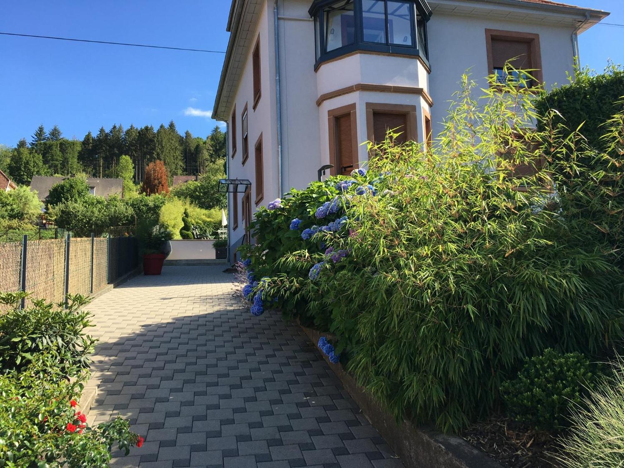 Les Magnolias En Alsace - Meuble De Tourisme 3 Etoiles Appartement Barembach Buitenkant foto